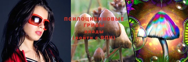 mdpv Арсеньев