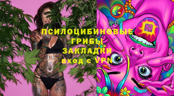 mdpv Арсеньев